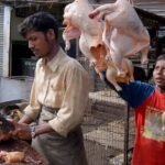 001_437_IMG_indiapoutlrysector-848x565