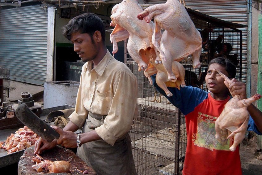 001_437_IMG_indiapoutlrysector-848x565