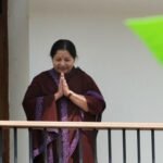 818086-32139-zoogdmigjw-1475838529