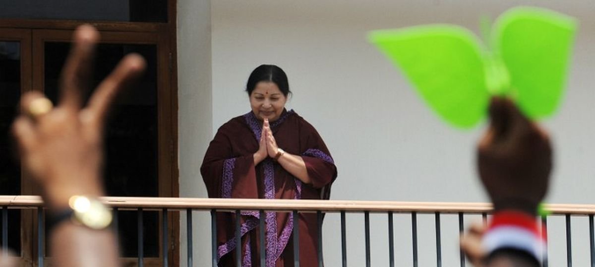 818086-32139-zoogdmigjw-1475838529