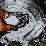 crude-oil-extraction-ashoknagar-bengal-2026-05-c26a868bbaa3565509038d77f8ab2f12-1200x675