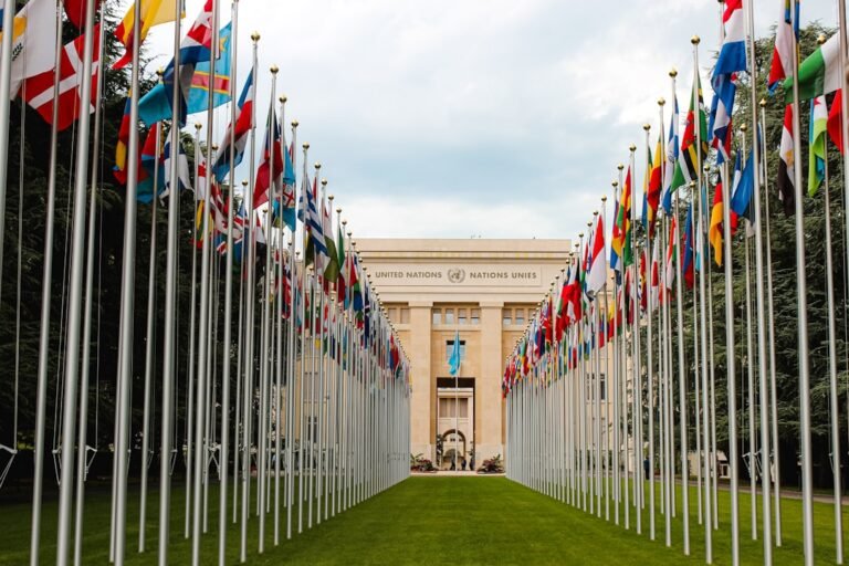 International flags representing support for India permanent UN Security Council seat