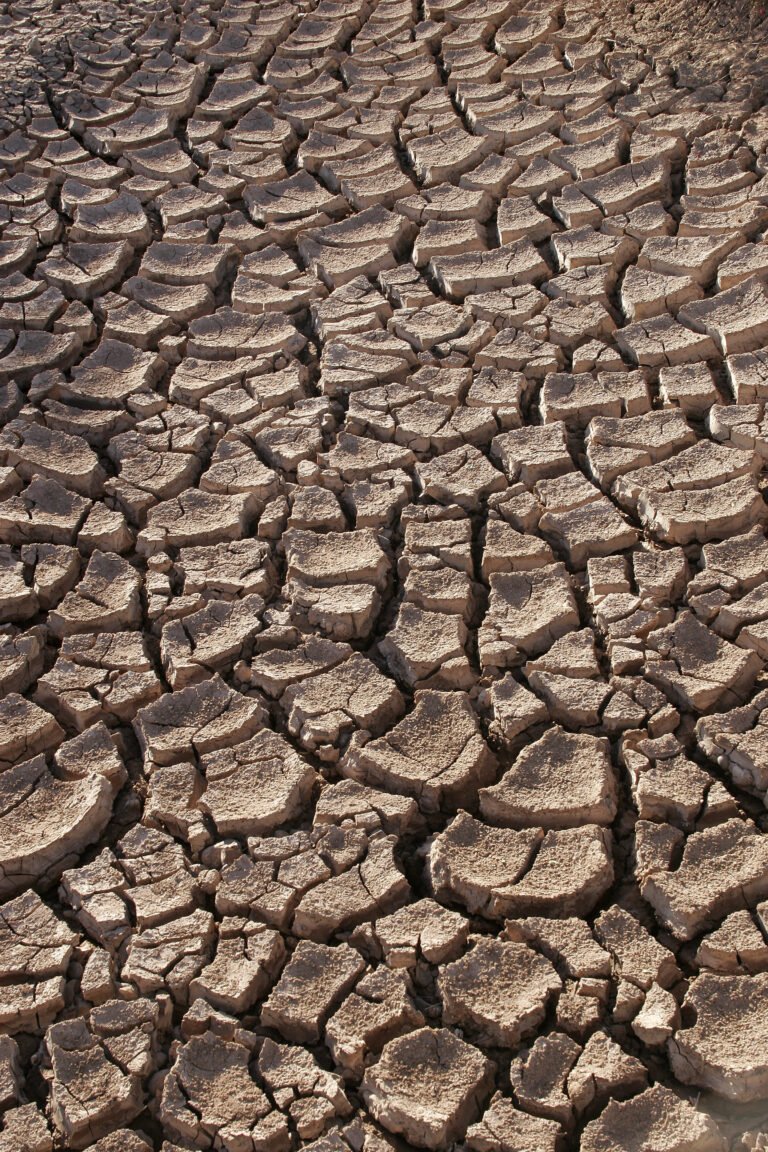 Drought conditions